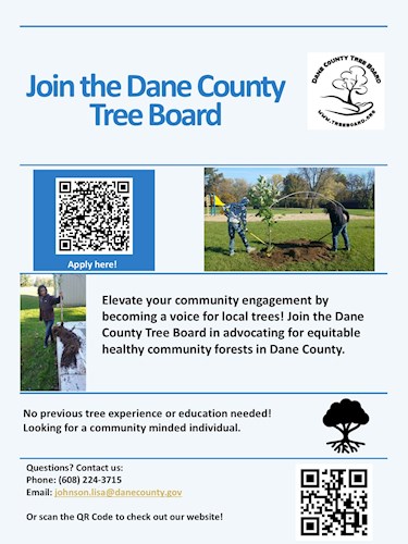 TCDB recruitment