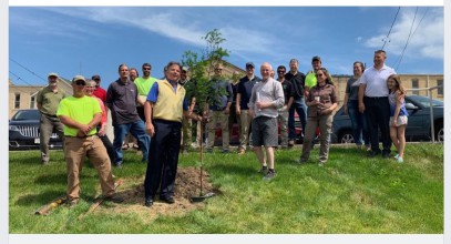 Cambridge Tree Project