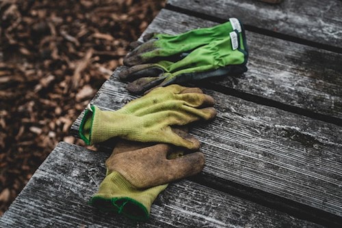 gloves